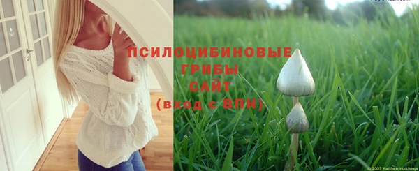 прущая мука Армянск