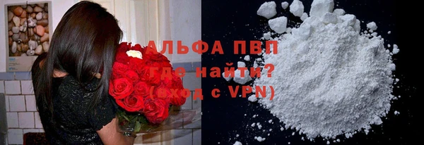 твердый Арсеньев