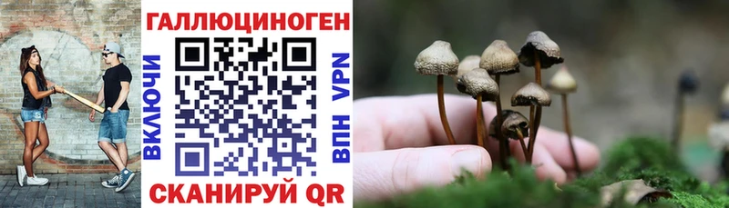 Галлюциногенные грибы Magic Shrooms Нефтекумск
